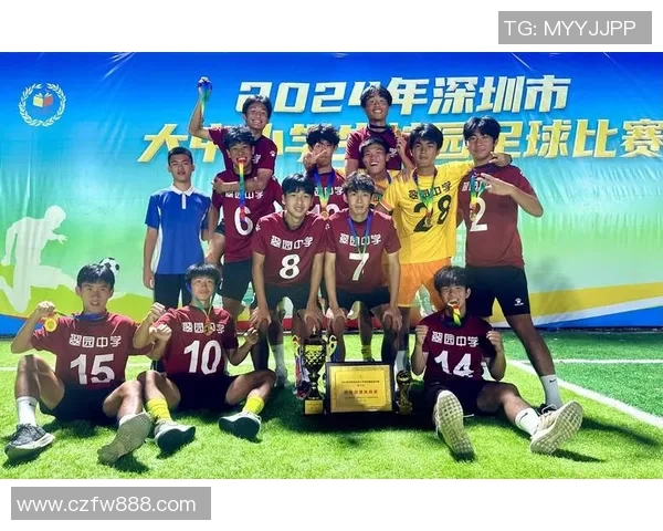 深圳足球队防反战术革新探讨与未来发展展望 深圳足球队防反战术革新探讨与未来发展展望