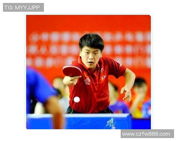 乒乓球的魅力：深入分析杭州乒乓球队员的个人技术与战术能力