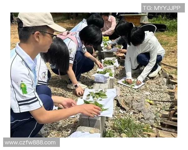 南京网球队的阵地战革新探索与实践新篇章 南京网球队的阵地战革新探索与实践新篇章